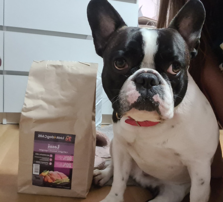 Karma Look4dog CARE łosoś pstrąg mała rasa 6kg + KEBZOO jagnięcina 3x400g