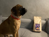 Karma Look4dog CARE dla psa z kaczką 12 kg, bez zbóż