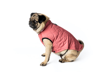 Kamizelka dla psa POP Pets, rozmiar L, różowa
