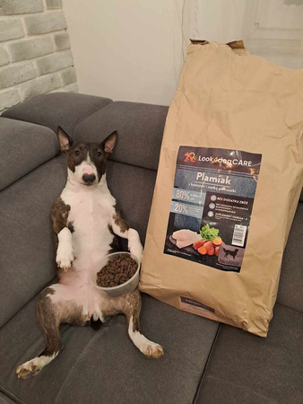 Sucha karma Look4dog CARE Plamiak z batatami 12 kg