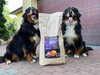 Karma Look4dog CARE dla psa z kaczką 6 kg, bez zbóż