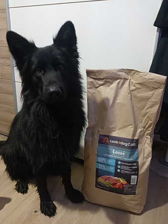 Karma Look4dog CARE łosoś pstrąg duża rasa 12 kg