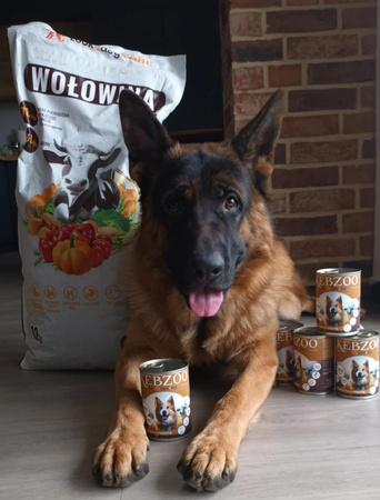 Zestaw: Karma mokra KEBZOO wołowina z cielęciną superfoods 24x400g