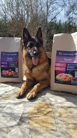 Karma Look4dog CARE dla psa z królikiem 12 kg, bez zbóż