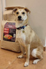 Sucha karma Look4dog CARE Łosoś i pstrąg 6 kg