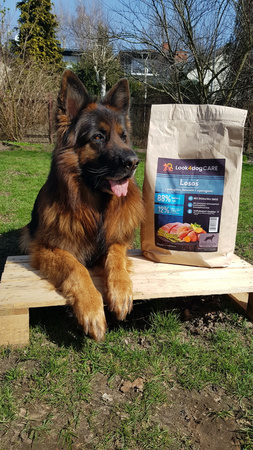 Zestaw karma Look4dog CARE 12 kg + duża szczotka