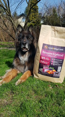 Karma Look4dog CARE dla psa z dziczyzną 6 kg, bez zbóż