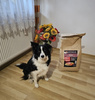 Sucha karma Look4dog CARE Łosoś i pstrąg 6 kg